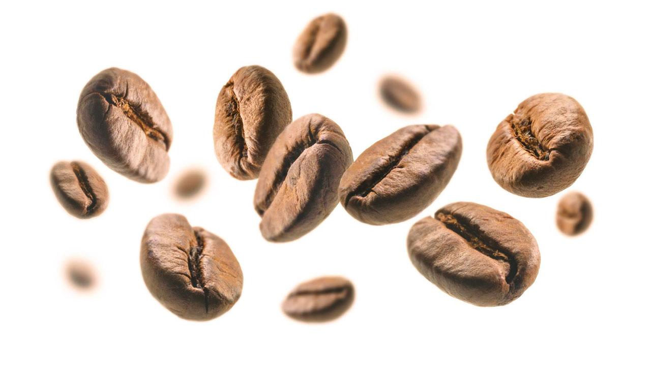 راهنمای خرید قهوه عربیکا