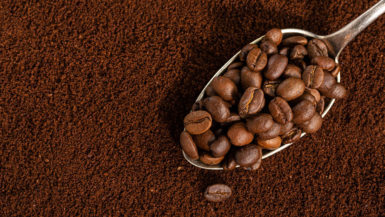 قهوه عربیکا کافه رستری اریدو