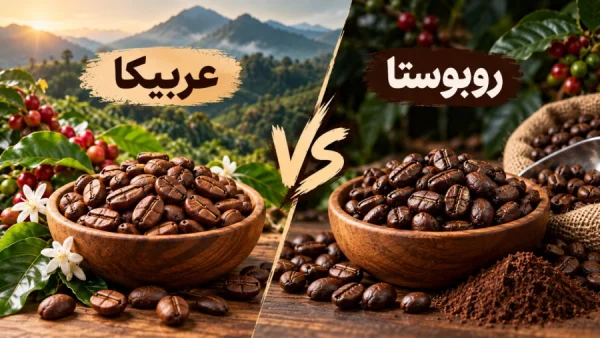 عربیکا یا روبستا